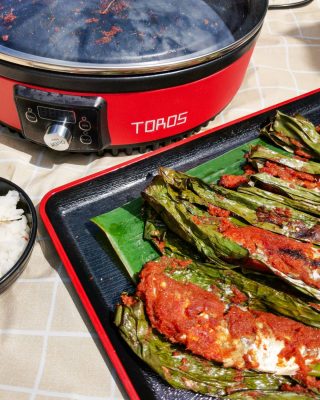 toros multifunction electric cooker